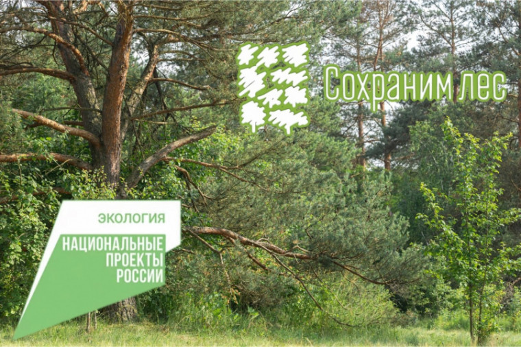 Экологическая акция «Сохраним леса от пожаров» стартовала в Чернянском районе..